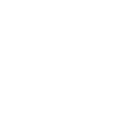 Orders are dispatched within 2 to 4 working days.